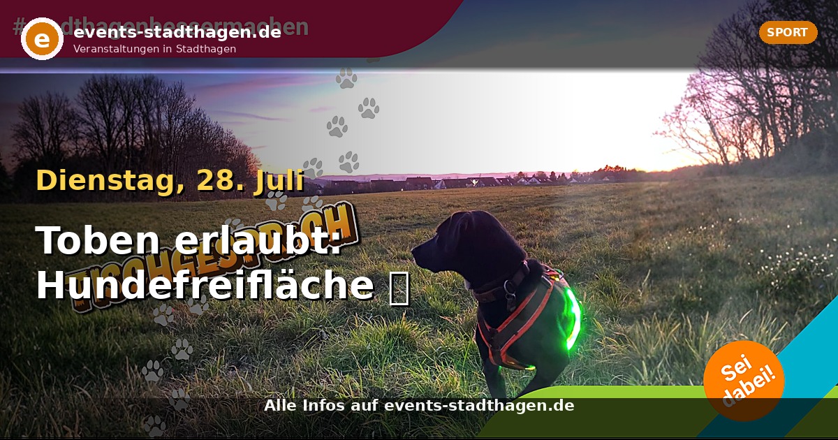 Toben erlaubt: Hundefreifläche 🐾