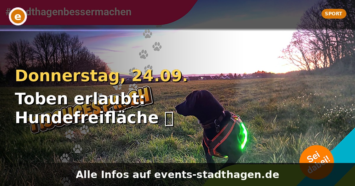 Toben erlaubt: Hundefreifläche 🐾