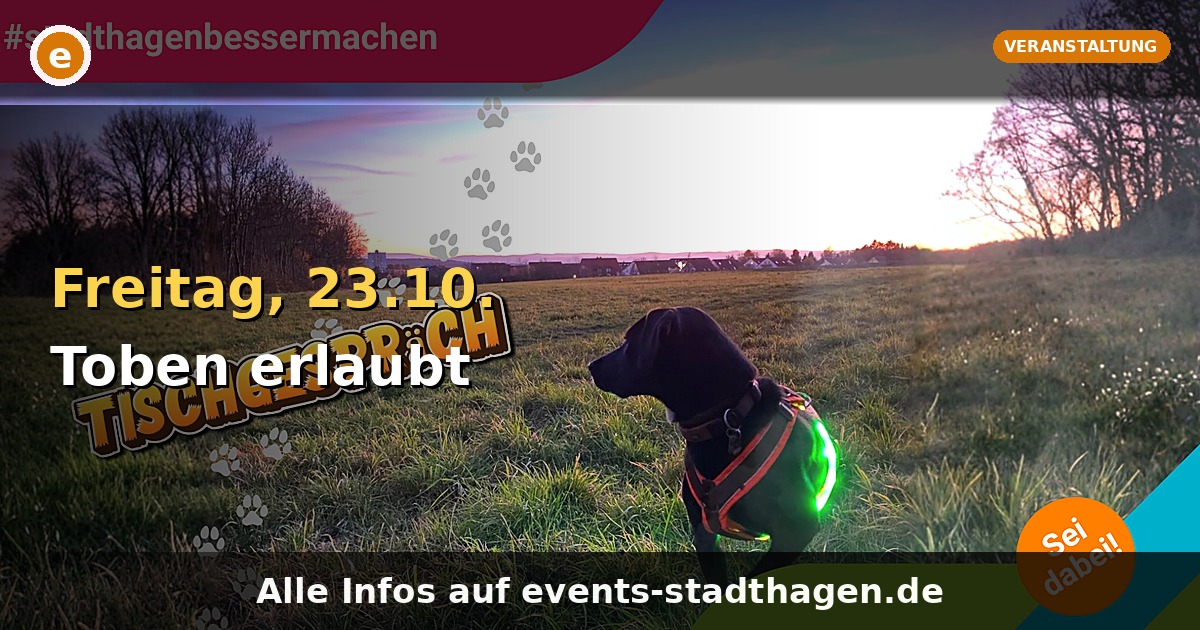 Toben erlaubt: Hundefreifläche- Wie gründet man einen Verein?